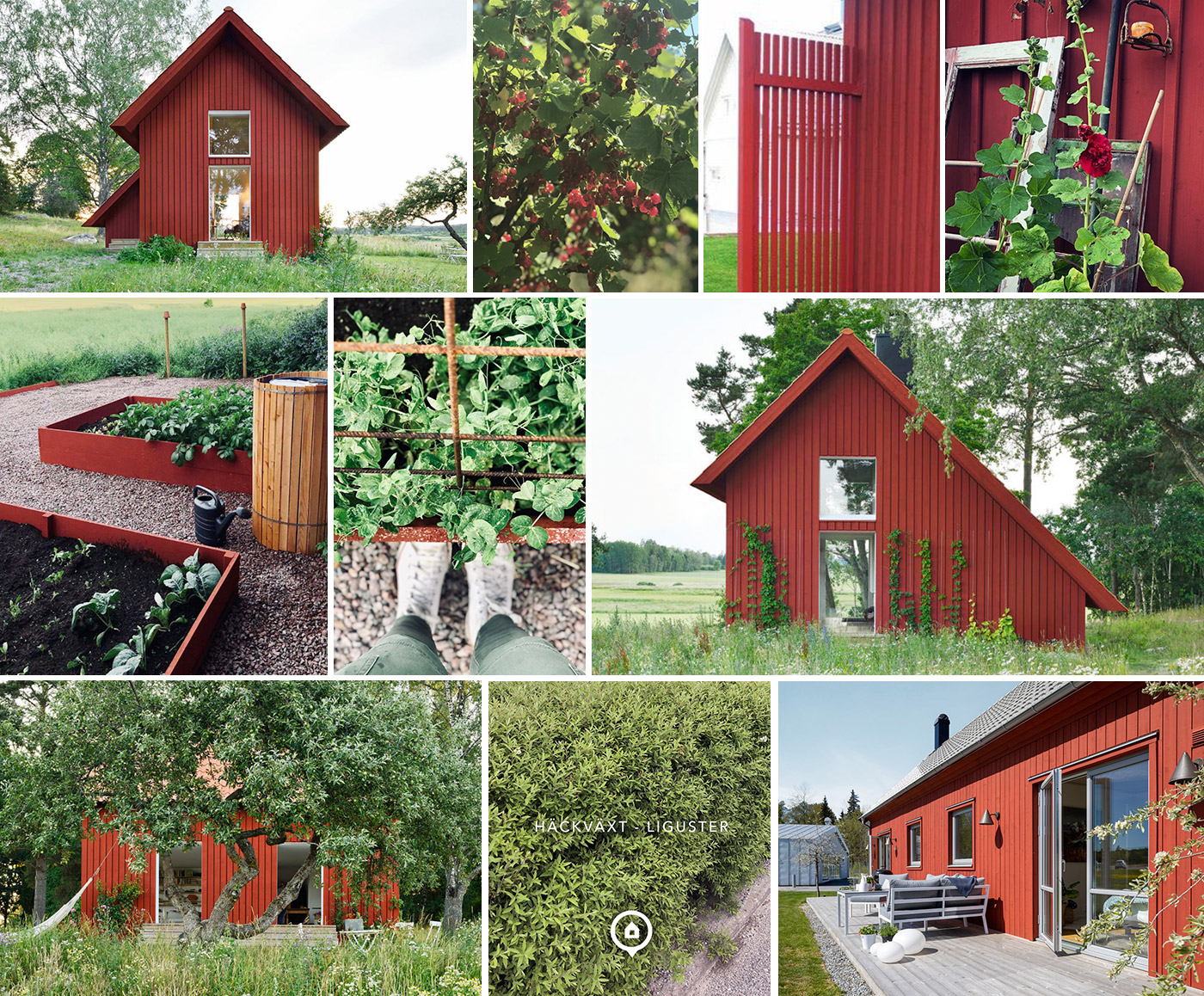 Moodboard på trädgård och andra stilrena röda hus